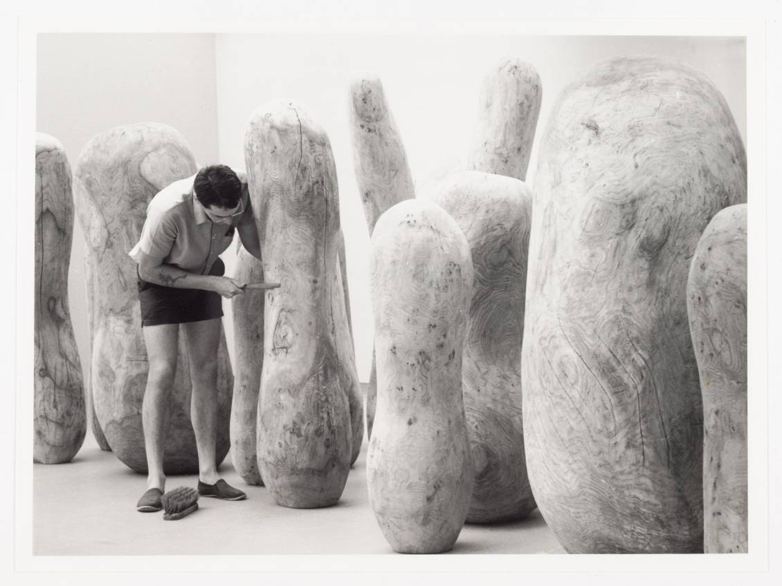 Nicholas Pope, Odd elms, 1981