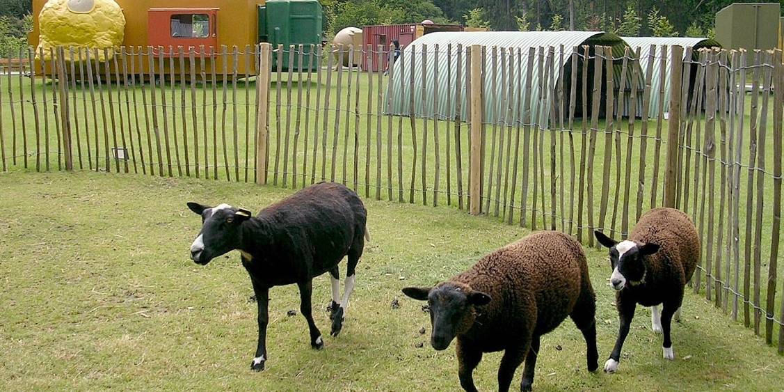 Tentoonstellingsoverzicht 'Happy Forest', 2005