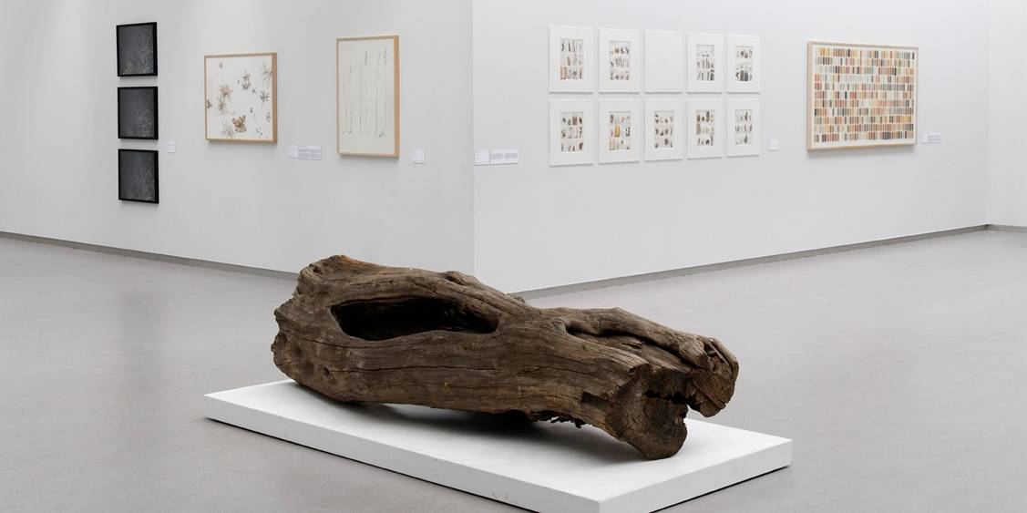 Tentoonstellingsoverzicht 'Unity' herman de vries, 2009