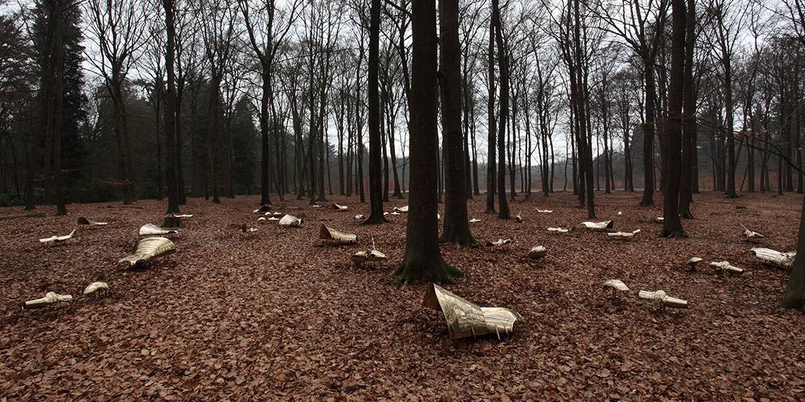 Tentoonstellingsoverzicht 'Hortus/Corpus', 2011