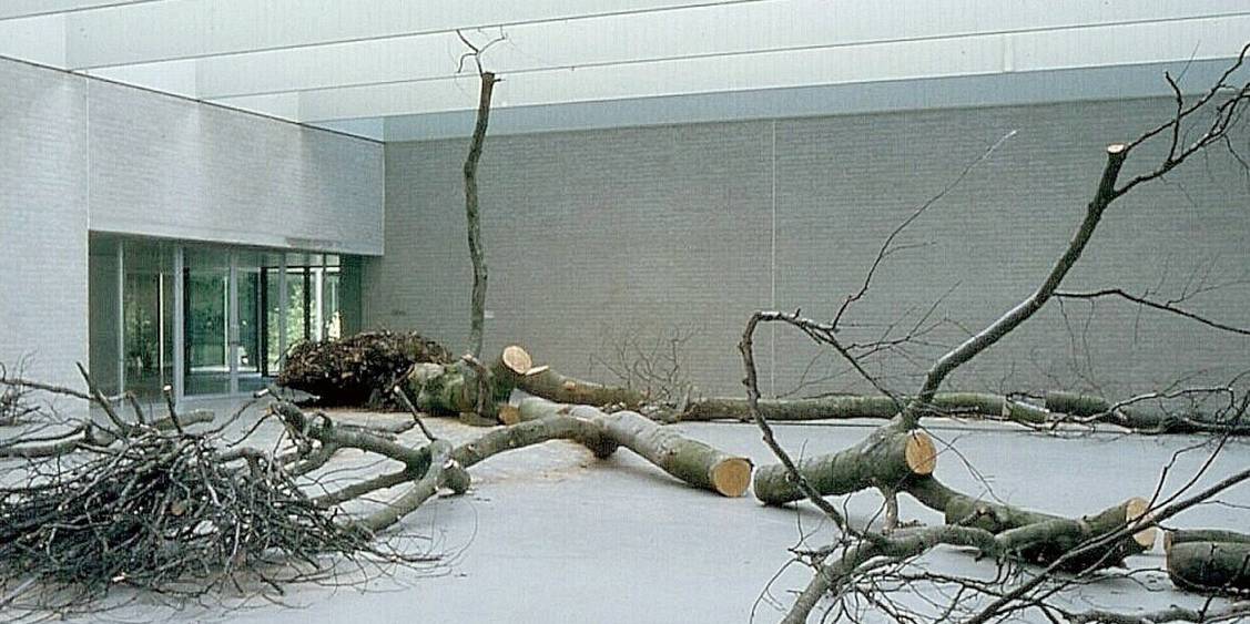Exhibition David Nash, 1982