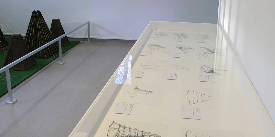 Tentoonstellingsoverzicht 'Tentenproject Cornelius Rogge', 2011