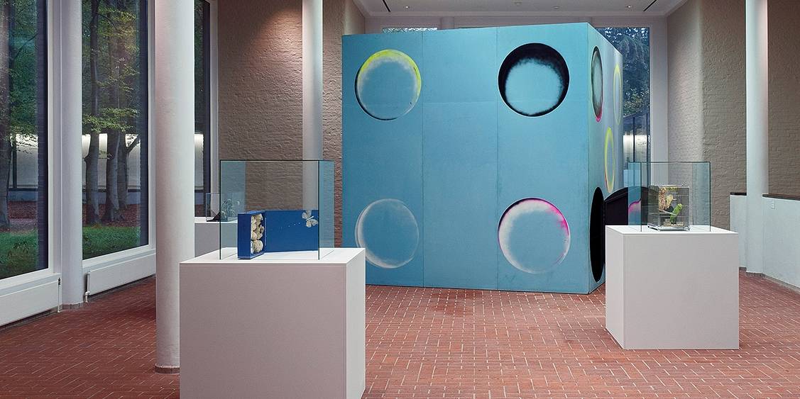 Tentoonstellingsoverzicht 'Windflower', 2011