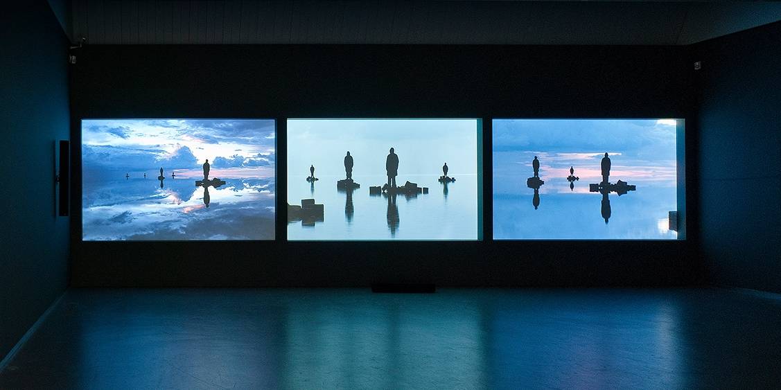Tentoonstellingsoverzicht 'Windflower', 2011